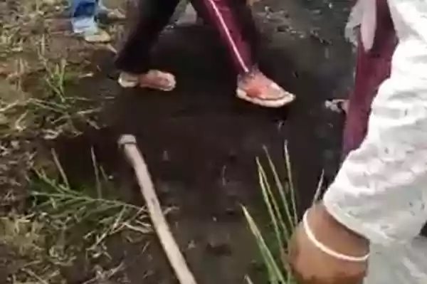 Di Aceh, Bayi Baru Lahir Dikubur Hidup-hidup, Kata Polisi Bukan Aborsi Tap Pembunuhan