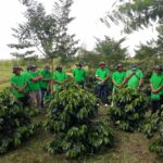 29-Sekolah Kopi TPL3 Sekolah Kopi PT TPL