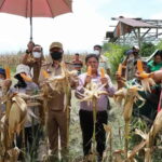 Bupati Taput Nikson Nababan Imbau Warga Manfaatkan Lahan Tidur