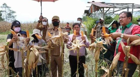 Bupati Taput Nikson Nababan Imbau Warga Manfaatkan Lahan Tidur
