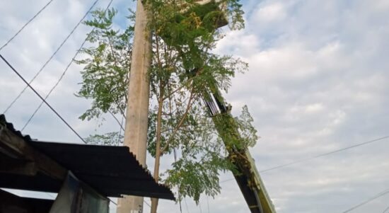 Warga Apresiasi Gercep Kadis Kebersihan dan Pertamanan Kota Medan