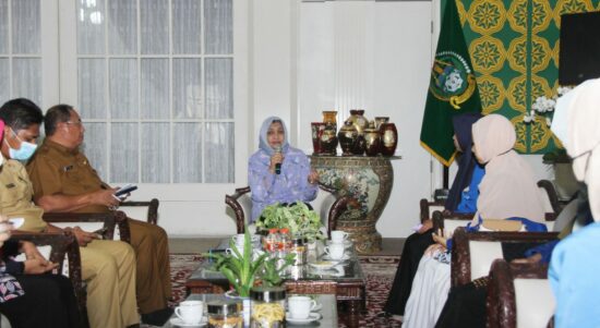 Terima Audiensi Kopri PMII Sumut, Nawal Lubis Harapkan Ini