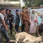 895D7A93-DD4A-4448-8FE2-8F8DE97B3D7B-min