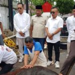 9F2C3F27-7AFD-464A-BEFA-85A81BFFC892-min