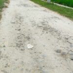 Belasan Tahun Jalan Rusak, Masyarakat Desa Pematang Ganjang Harap Diperbaiki Belasan Tahun Jalan Rusak, Masyarakat Desa Pematang Ganjang Harap Diperbaiki