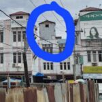 Tingkatkan PAD, Pemkab Madina Harus Tertibkan Sarang Burung Walet tak Berizin