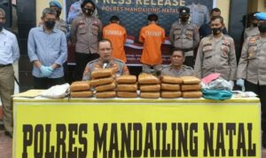 Bravo! Polres Madina Berhasil Gagalkan Peredaran Ganja Antar Provinsi