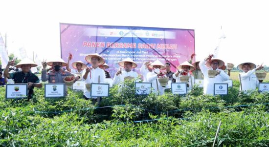 Harga Cabai Mulai Turun, Pemprov Sumut Terus Jaga Stabilitas