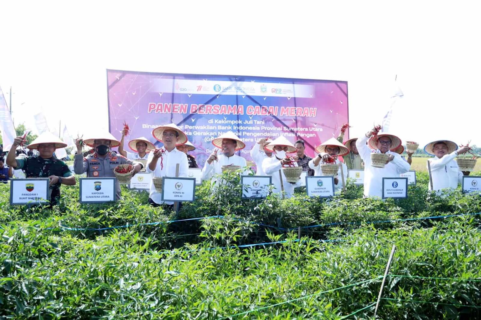 Harga Cabai Mulai Turun, Pemprov Sumut Terus Jaga Stabilitas