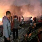 Farm Robin Wonorejo PT CIO MAS Dilahap si Jago Merah, Puluhan Ribu Ayam Habis Terbakar