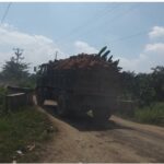 Screenshot_20230521-185920_Gallery