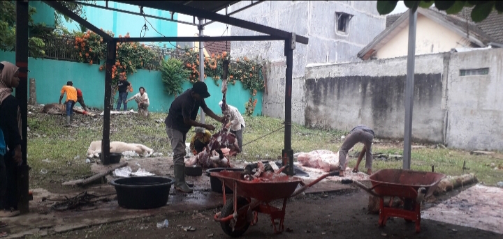 17 Ekor Lembu Kurban Akan Disembelih di Masjid Fajar Ramadhan JIP 2 dan Perumahan Taman Johor Baru Medan
